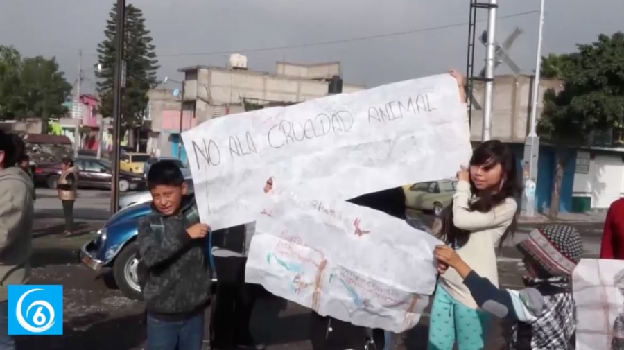 Habitantes de Los Reyes La Paz, piden el cierre del antirrábico del municipio por presuntas irregularidades en su actividad 