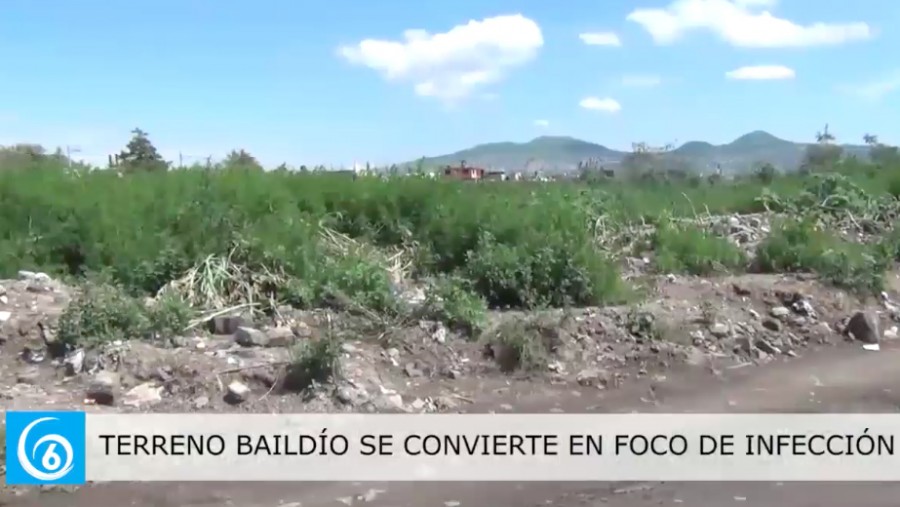  Terreno baldío se convierte en foco de infección por basura en la colonia Emiliano Zapata