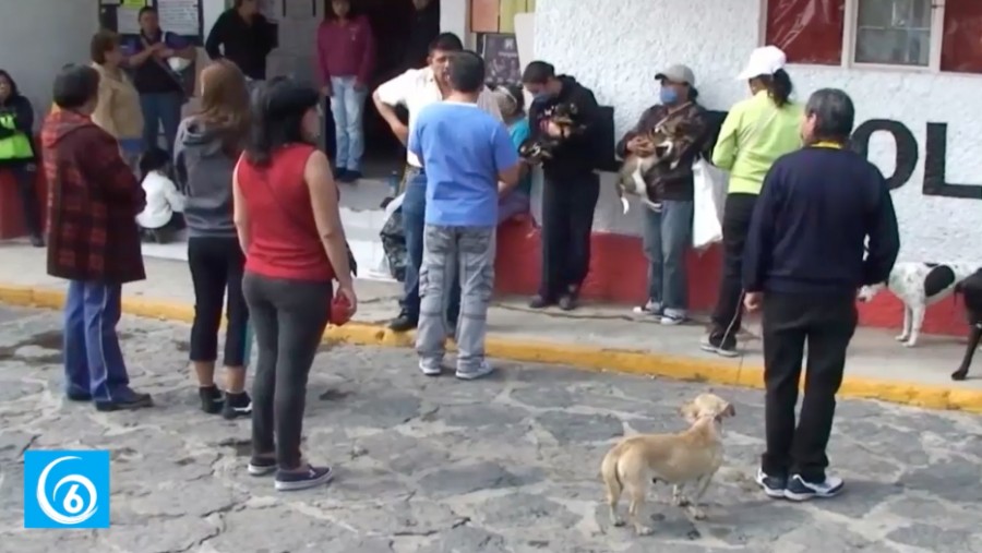 Próxima campaña de esterilización canina y felina en Ixtapaluca