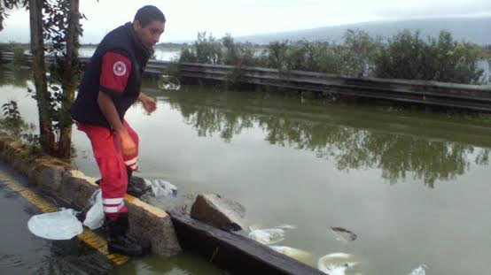 Autoridades de Valle de Chalco atienden desbordamiento de Lagunas de Xico