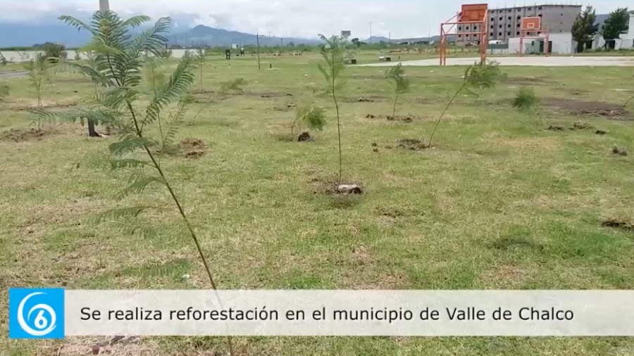 Inicia campaña de reforestación en Valle de Chalco