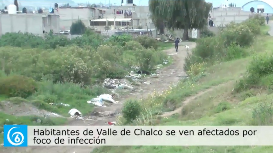 Habitantes de la colonia Humberto Vidal en Chalco, se ven afectados  por foco de infección