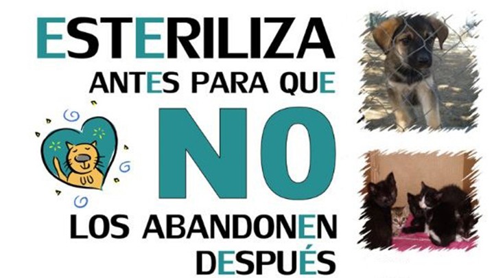 Próxima campaña de esterilización masiva en el municipio de Ixtapaluca