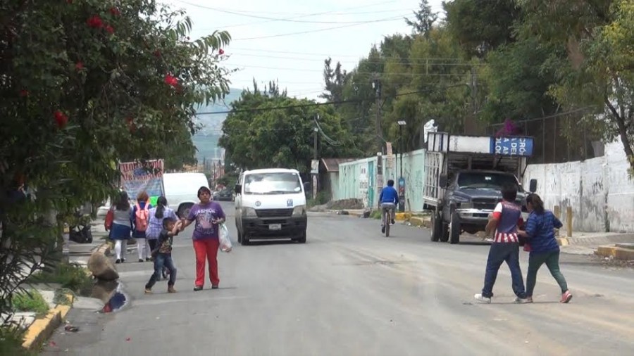 Trabajos de alumbrado y desazolve son gestionados por autoridades auxiliares de la colonia Dario Martínez