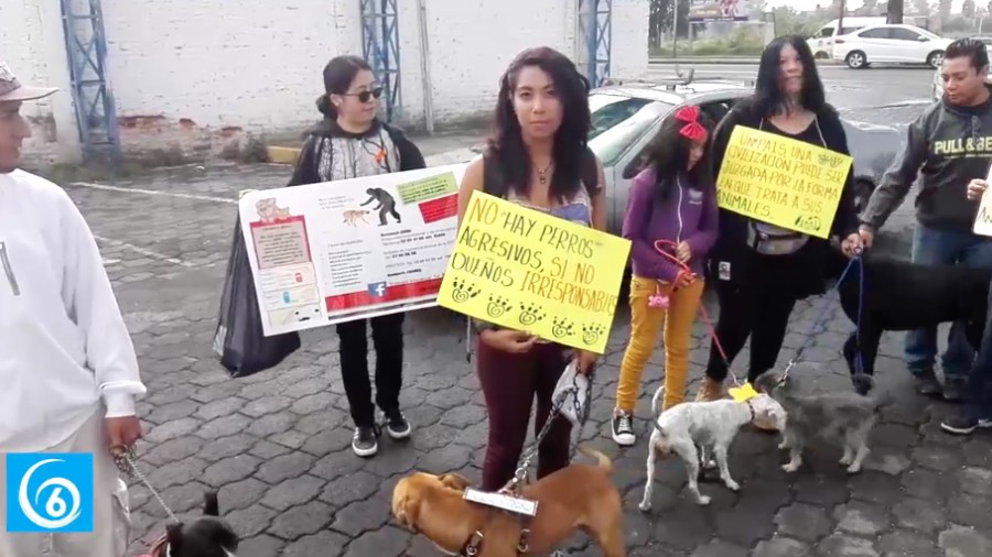 Ciudadanos de Ixtapaluca realizan caminata e contra del maltrato animal