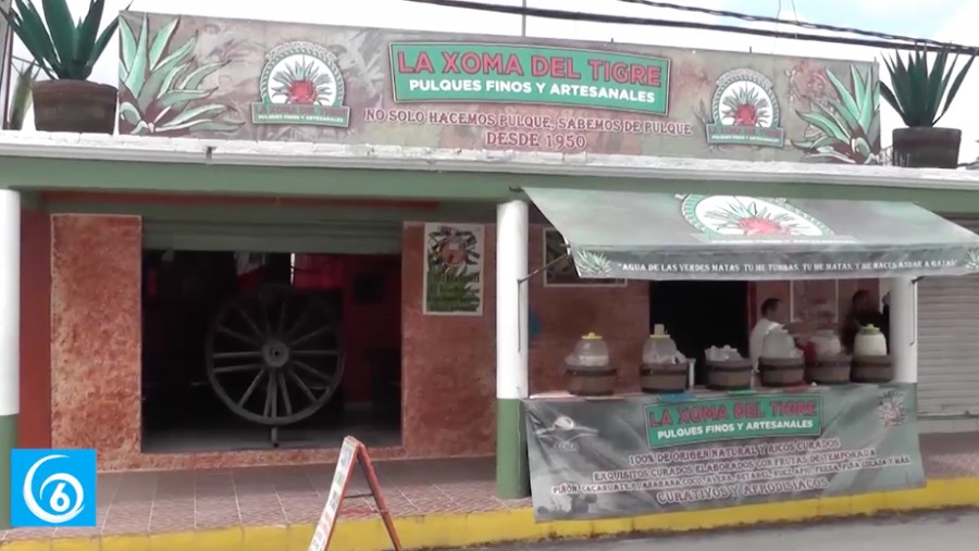 Coatepec, tierra del pulque en Ixtapaluca