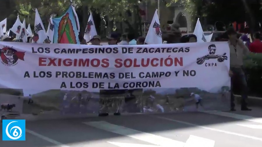 Campesinos realizaron marchan en Reforma en protesto del recorte presupuestal al campo mexicano