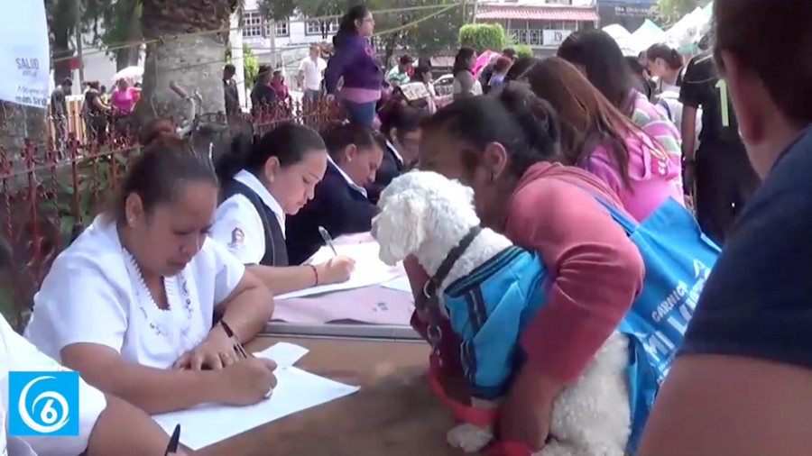 Personal de control canino realiza levantamiento de animales muertos en Ixtapaluca