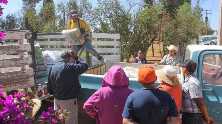 Familias de la colonia Clara Córdova se beneficiarán con apoyos de losa para sus viviendas