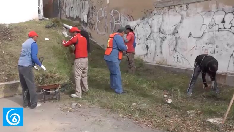 Personal del parque y jardines realiza poda de árboles en Cuatro Vientos