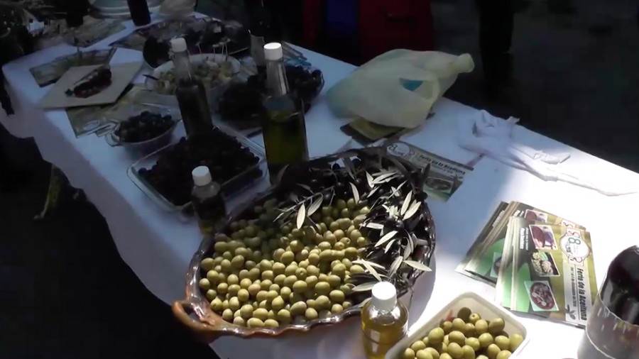 Se anuncia la Octava Feria de la Aceituna en el municipio de Chimalhuacán