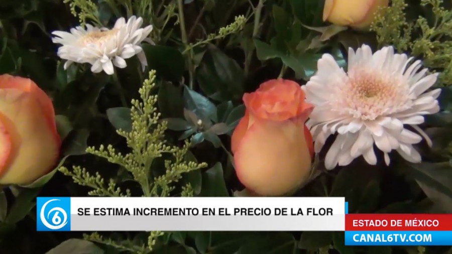 Comerciantes reportan incremento en el costo de flores