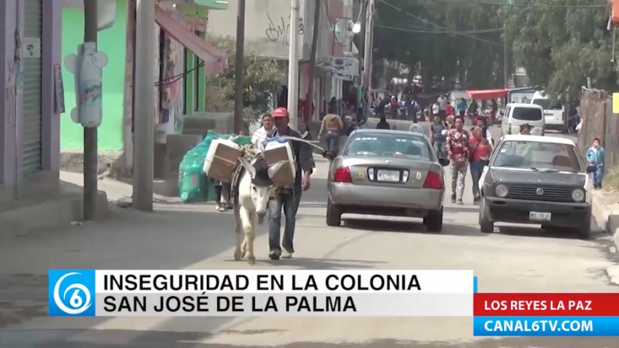 Inseguridad en la colonia San José de la Palma del municipio de Los Reyes La Paz