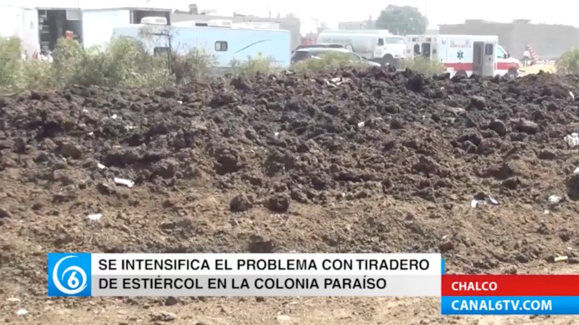 Aumenta el problema por tiradero de estiércol en la colonia El Paraíso en Chalco