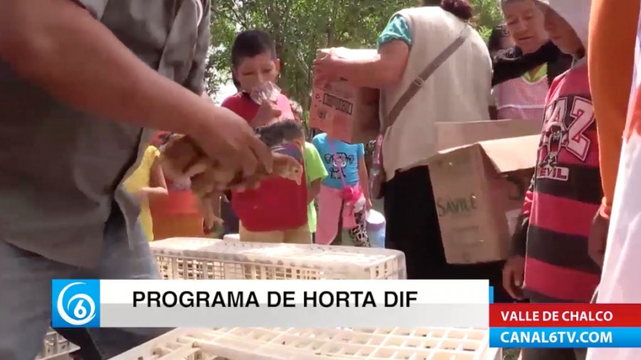 Programa de ORTA DIF en Valle de Chalco