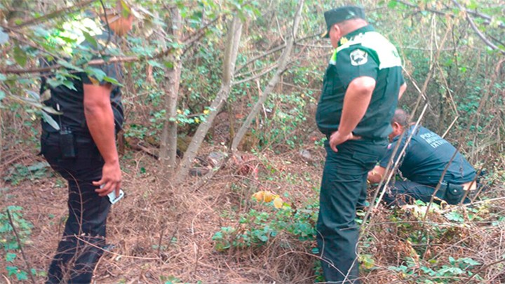 ENCUENTRAN RESTOS HUMANOS A UN COSTADO DE LA MÉXICO-PUEBLA