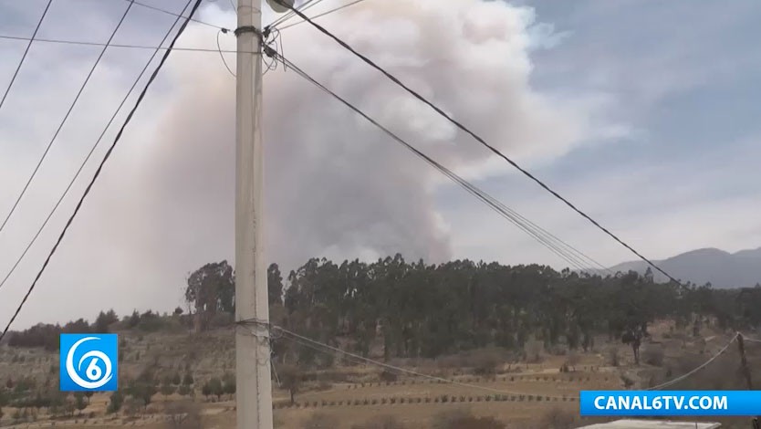 Bomberos combaten incendio en zona montañosa de Coatepec