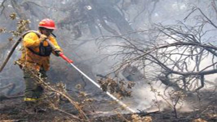 CONTROLAN EN UN 95% INCENDIO FORESTAL EN TEXCOCO