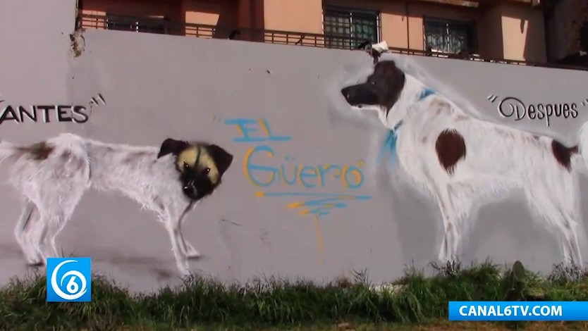 La asociación de ambiente y vida animal organizó evento de grafito para todos los niños