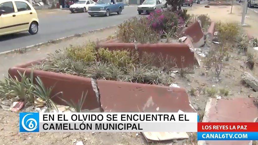 Camellón municipal de Los Reyes La Paz se encuentra en el olvido