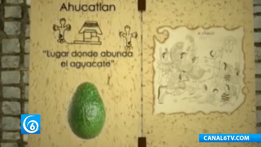 Alza en el precio del aguacate