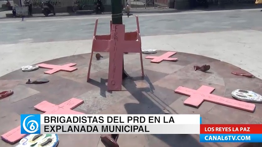 Brigadistas del PRD realizaron manifestación para rechazar la violencia en el Edomex