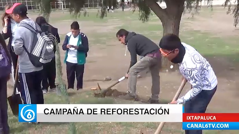 Realizan campaña de reforestación en el municipio de Ixtapaluca