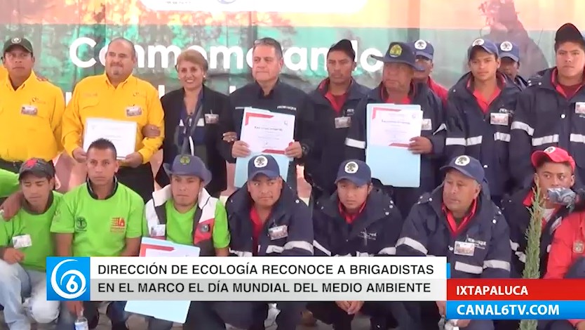 Conmemoraron el Día Mundial del Medio Ambiente reconociendo el trabajo de brigadistas