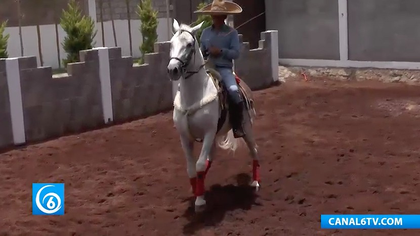 Te presentamos la manera de aprender a montar a caballo