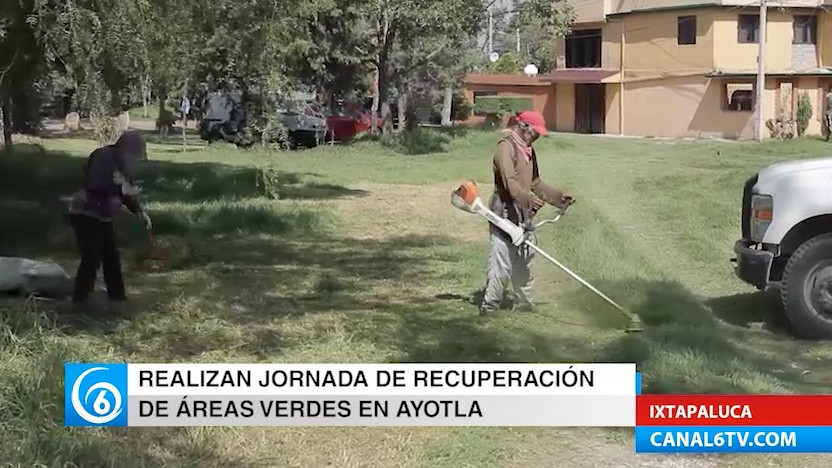 Jornada de recuperación de áreas verdes en Ayotla