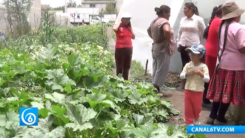 Huertos en casa, un programa de Horta DIF Ixtapaluca