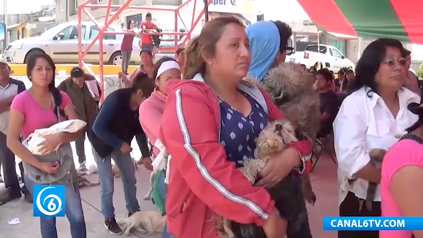 Realizan jornada de esterilización en la colonia Melchor Ocampo