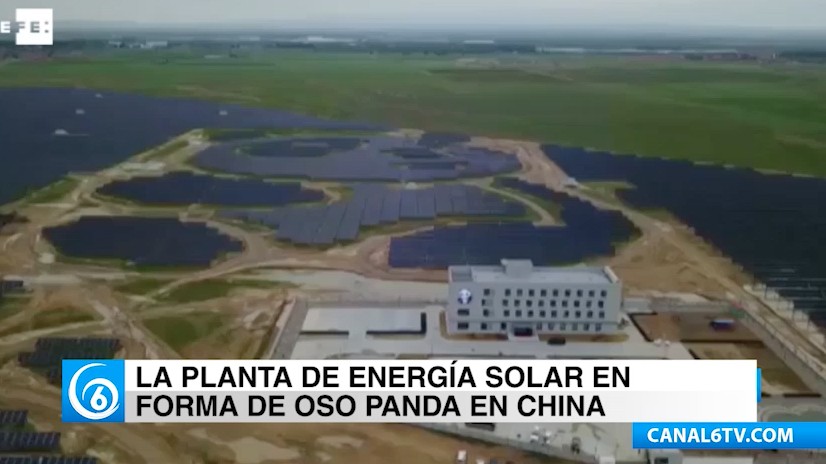 La planta de energía solar en forma de oso panda busca concientizar a los jóvenes en China