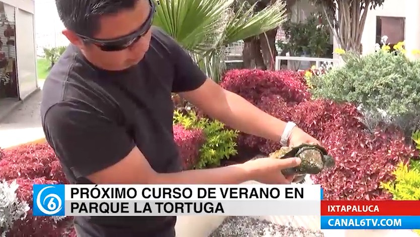 Próximo Curso de Verano en el Parque La Tortuga