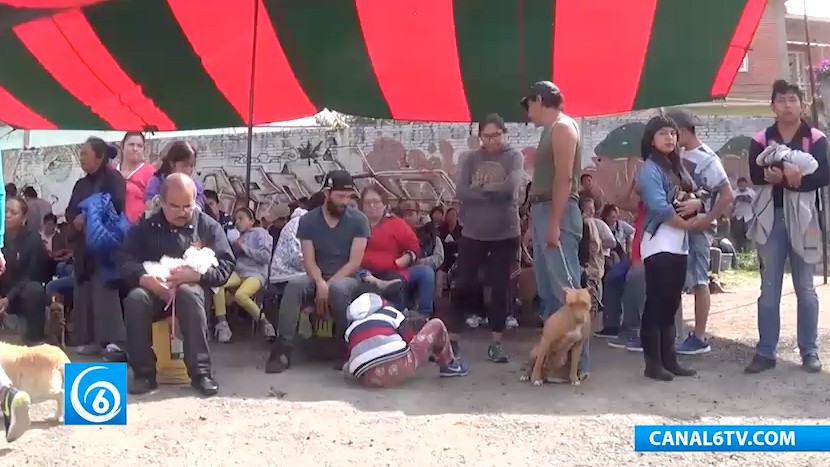 Realizan jornada de esterilización en Ayotla