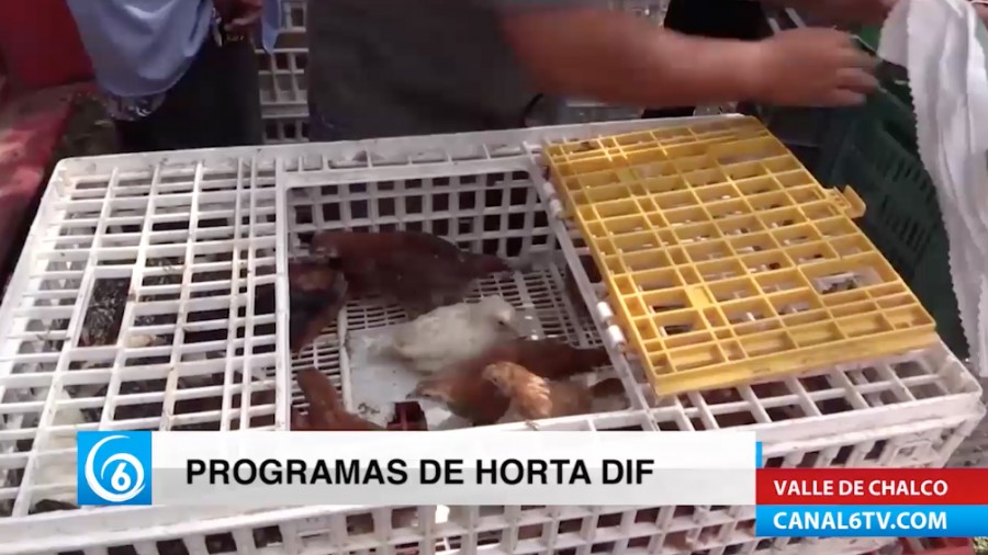 Realizan programas de HortaDIF en Valle de Chalco