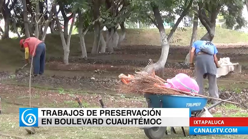 Realizan trabajos de limpieza en el Bulevar Cuauhtémoc