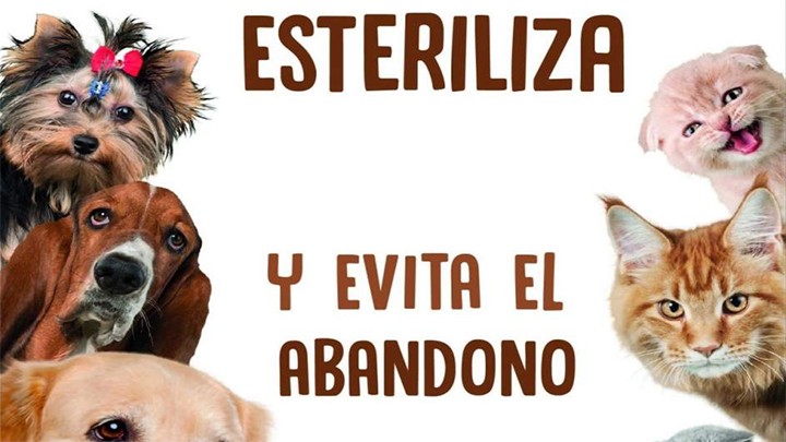 Mañana campaña de esterilización animal por control canino de Ixtapaluca en Valle de Chalco