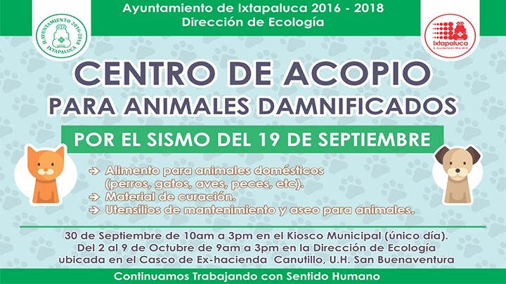 HABILITAN CENTRO DE ACOPIO PARA ANIMALES DAMNIFICADOS