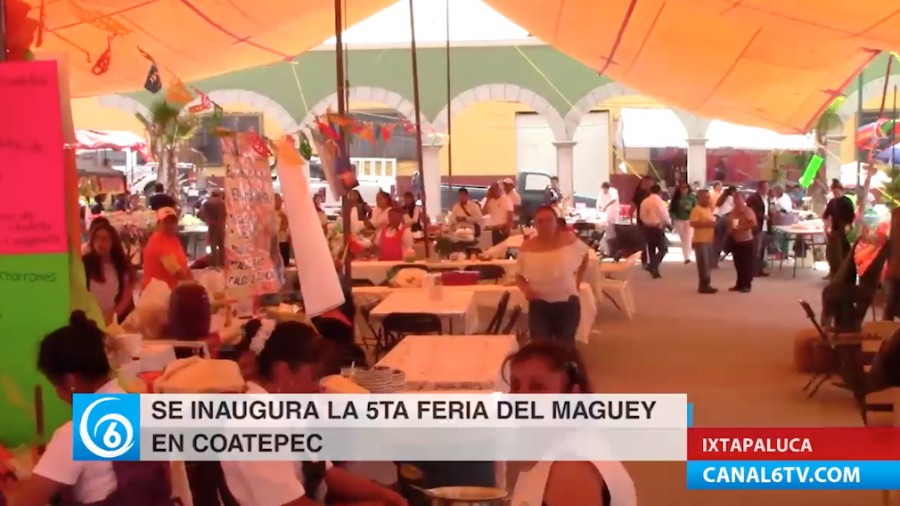 Inicia la 5ta. Feria del Maguey Coatepec 2017