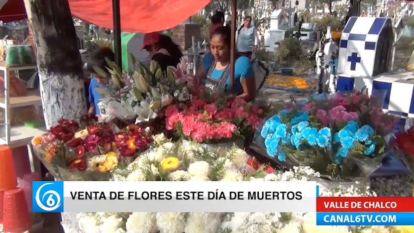 Vendedores de flores en Valle de Chalco, esperan que mejore la venta este Día de Muertos