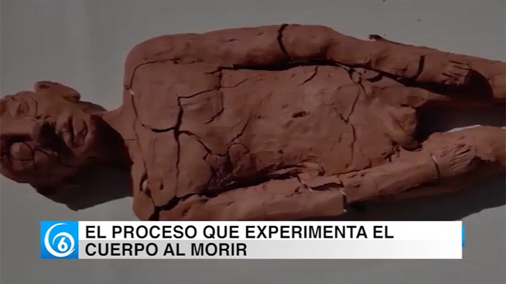 El proceso que experimenta el cuerpo al morir