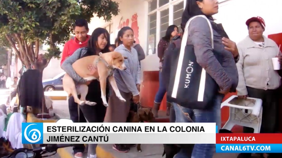 En esta ocasión se llevó a cabo esterilización animal en la colonia Jiménez Cantú