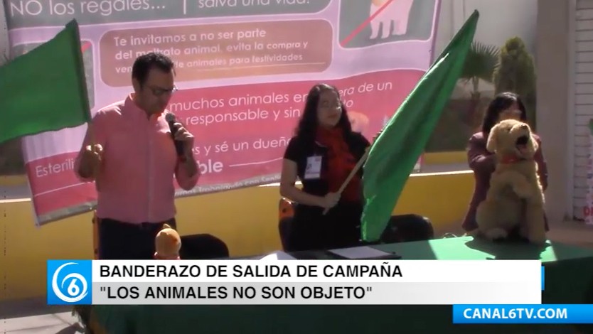 Campaña de concientización sobre la compra ilegal de animales