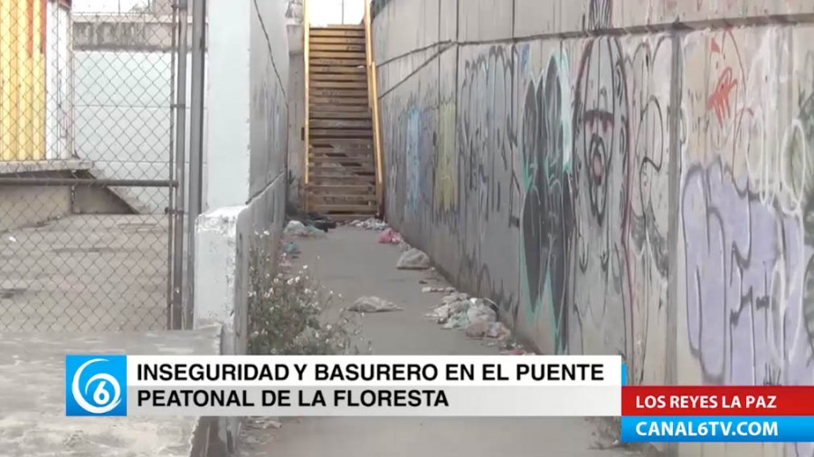 Problemas de basura e inseguridad en el puente peatonal de la colonia la Floresta