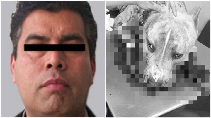 TRASLADAN A PENAL DE ECATEPEC A CUSTODIO QUE DISPARÓ EN CONTRA DE UN PERRO PITBULL