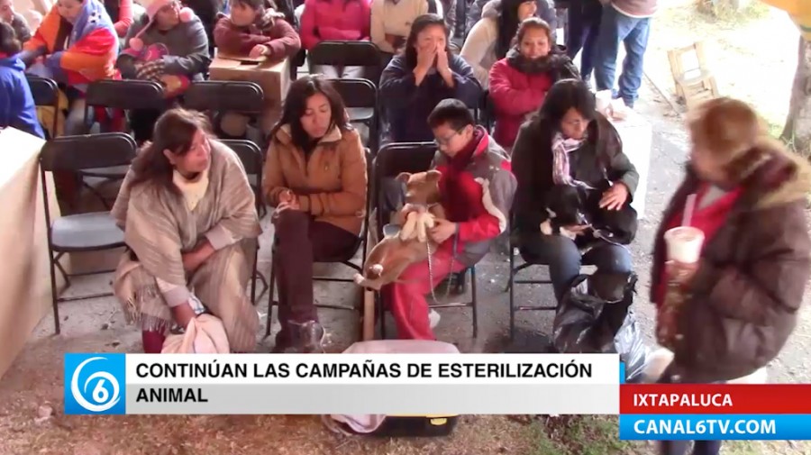 Realizaron campaña de esterilización en la U.H Cuatro Vientos