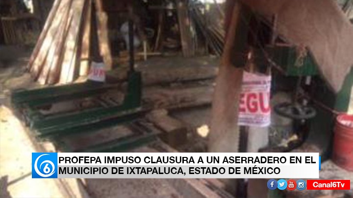 PROFEPA CLAUSURA ASERRADERO EN IXTAPALUCA POR OPERAR SIN PERMISOS