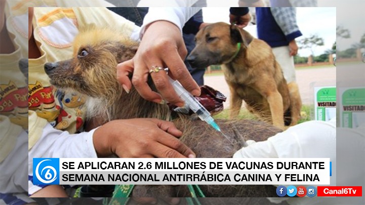 INICIÓ LA SEMANA NACIONAL ANTIRRÁBICA CANINA Y FELINA