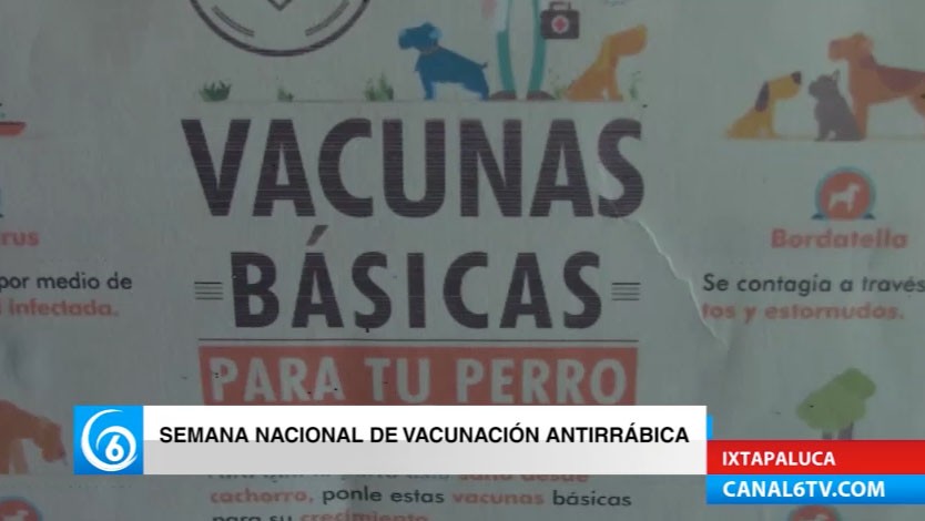 Gobierno estatal inicia Semana Nacional Antirrábica Canina y Felina